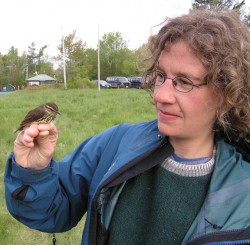 Lindsay Seward, Outstanding Teaching Award