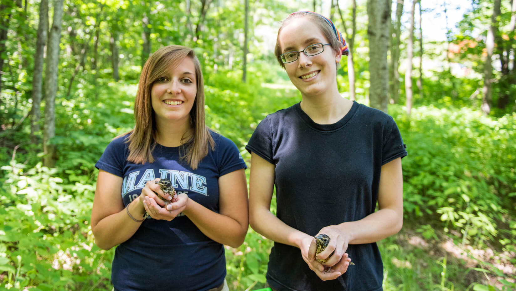 avian haven interns