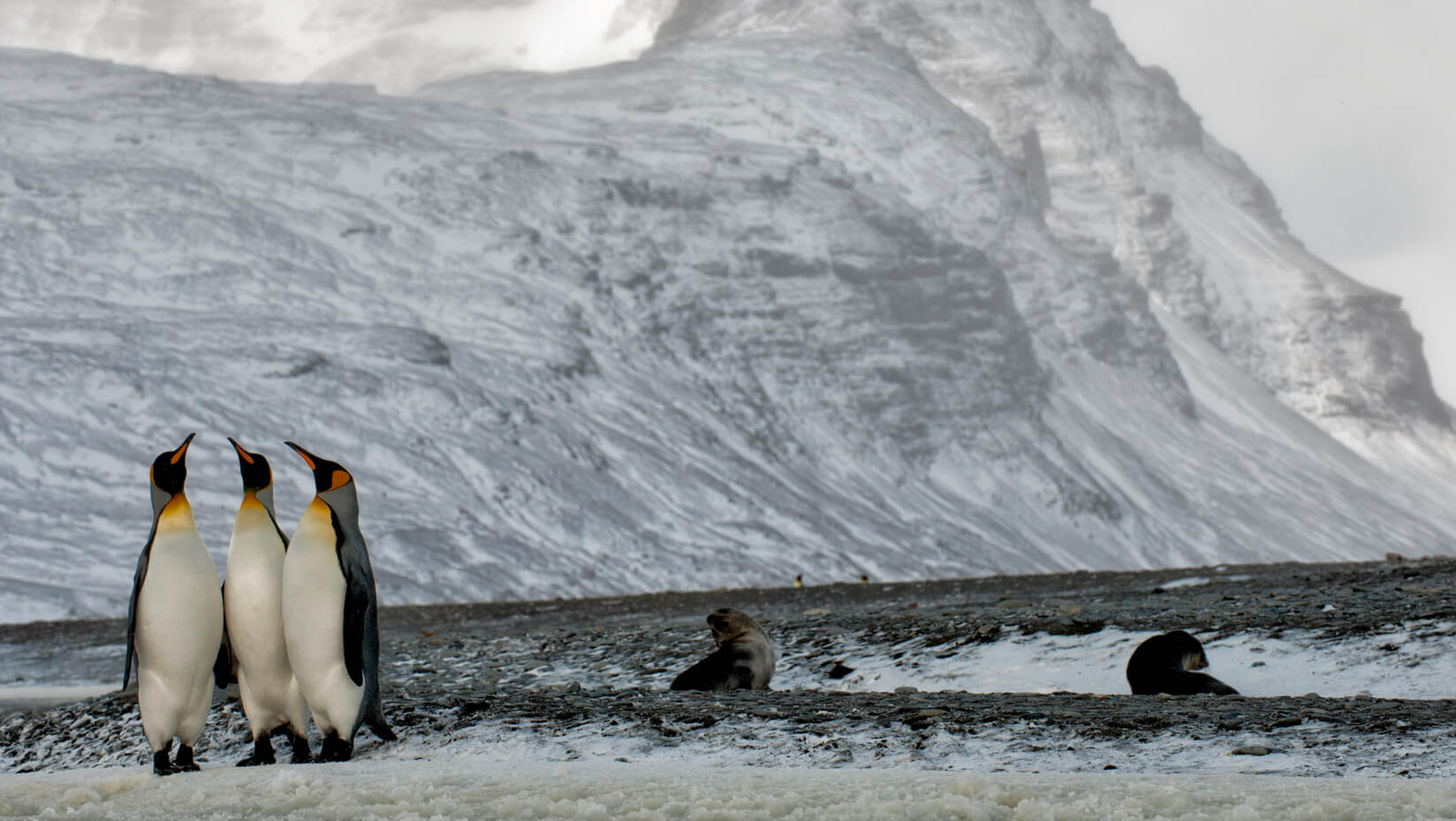 Antarctica