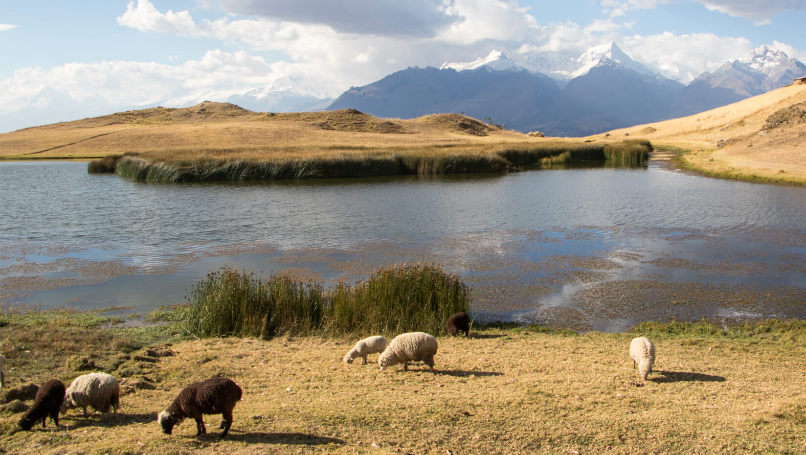 Peru