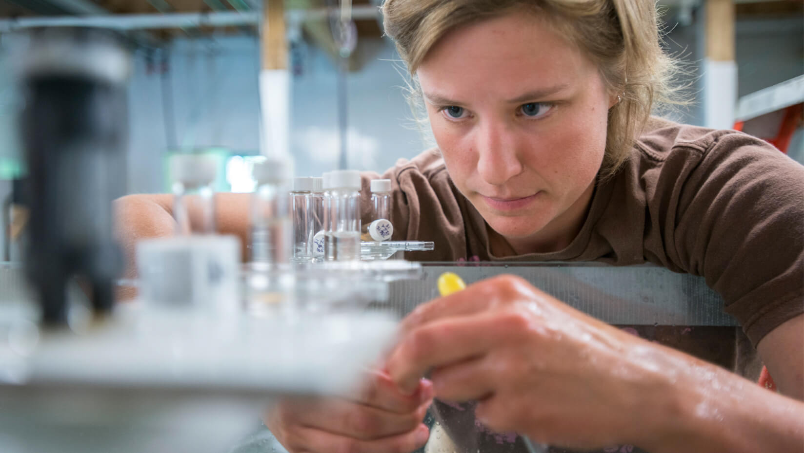 skylar baker scallop gonad research lab