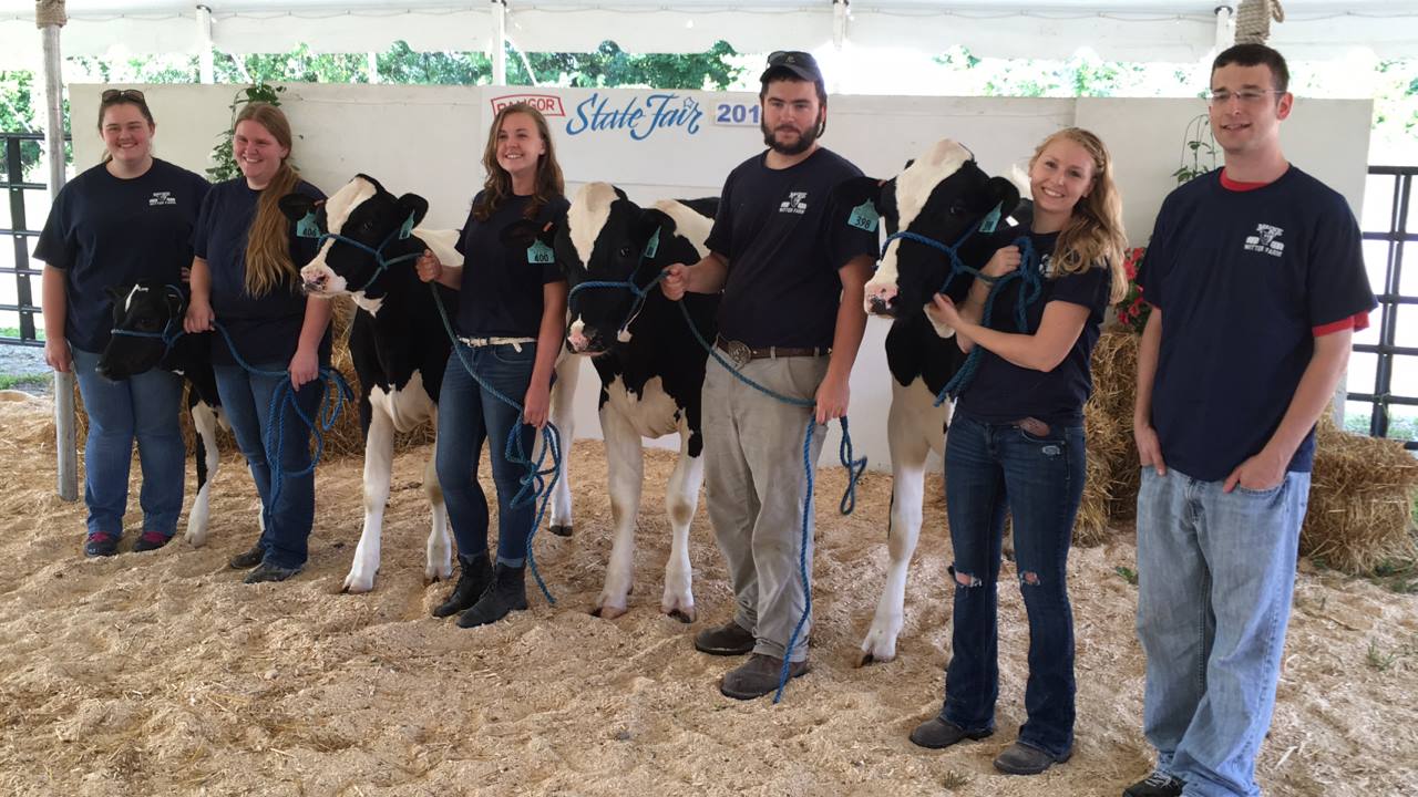 state fair dairy cattle students