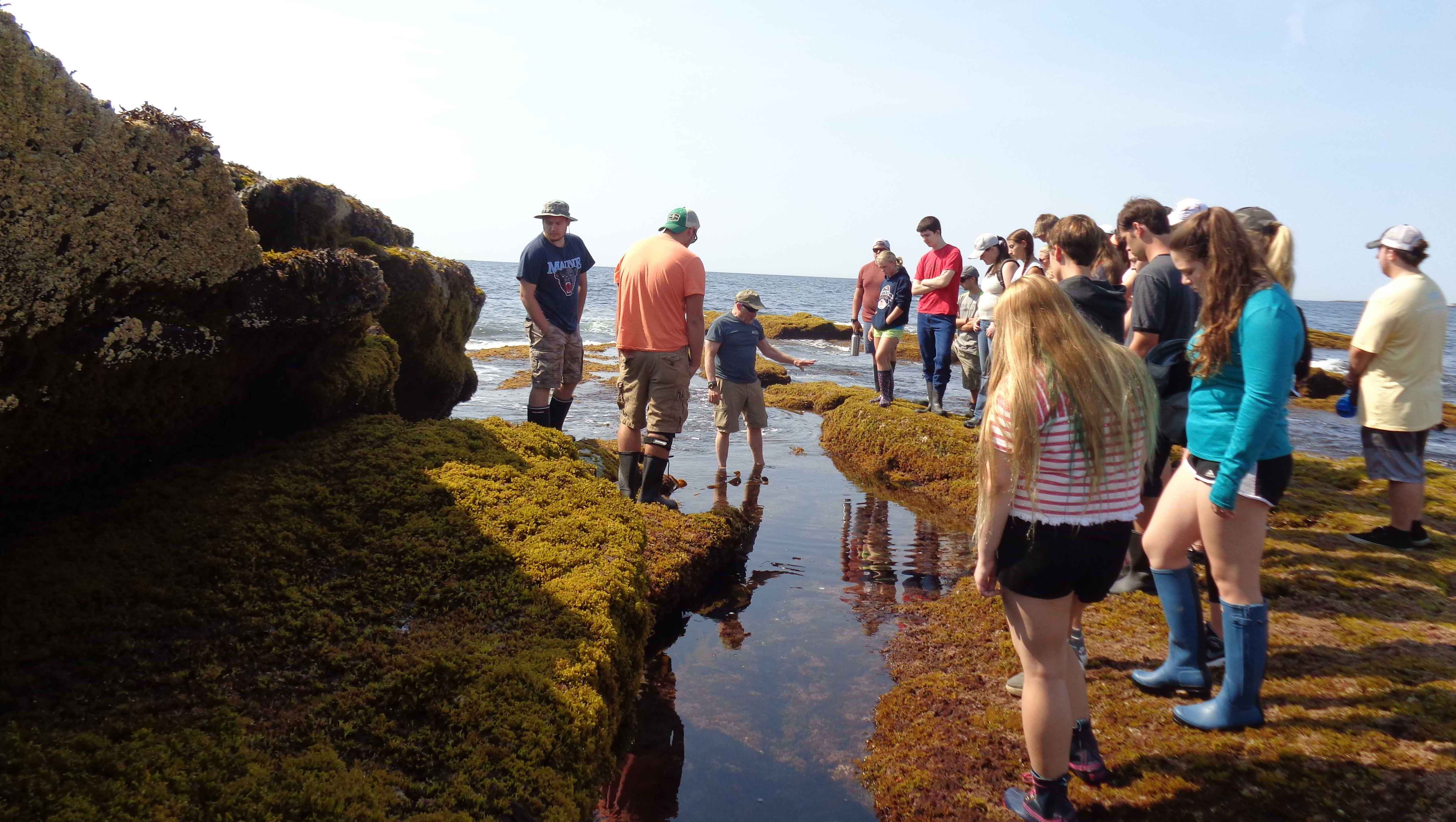 dmc bootcamp students tide pool