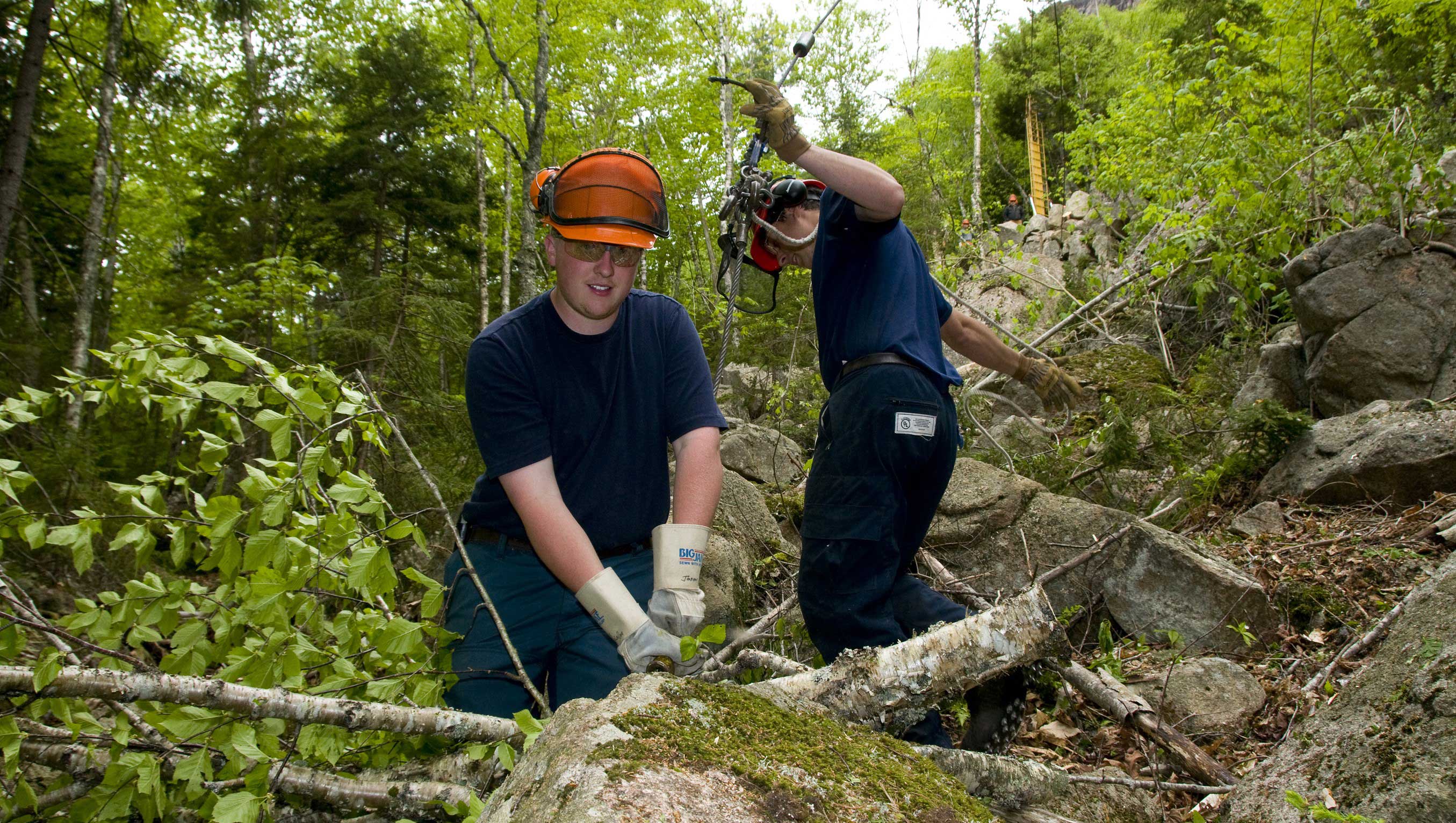 students forest