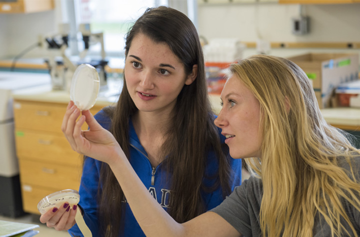 phage lab students