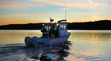 aquaculture report news feather boat ocean sunset