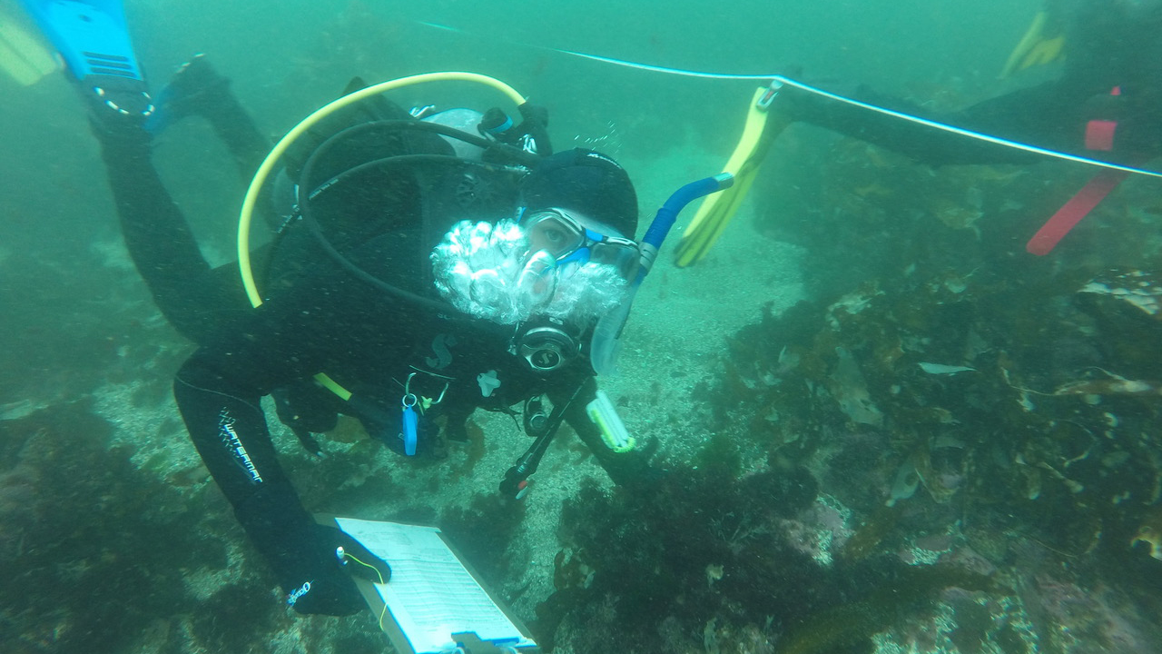 scientific diver student