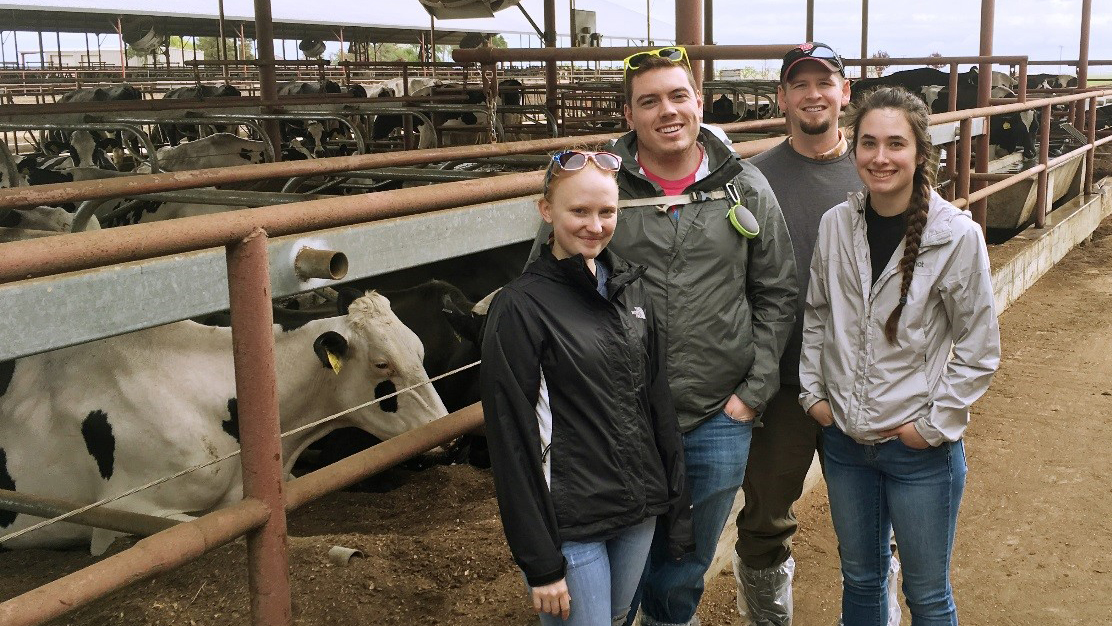 students dairy california