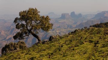 2017-6-14 Ethiopian-Highlands-news-feature