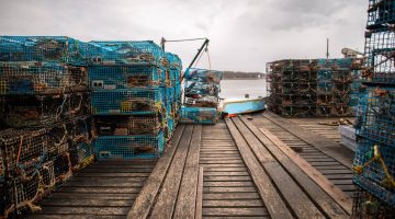 lobster traps dock marine
