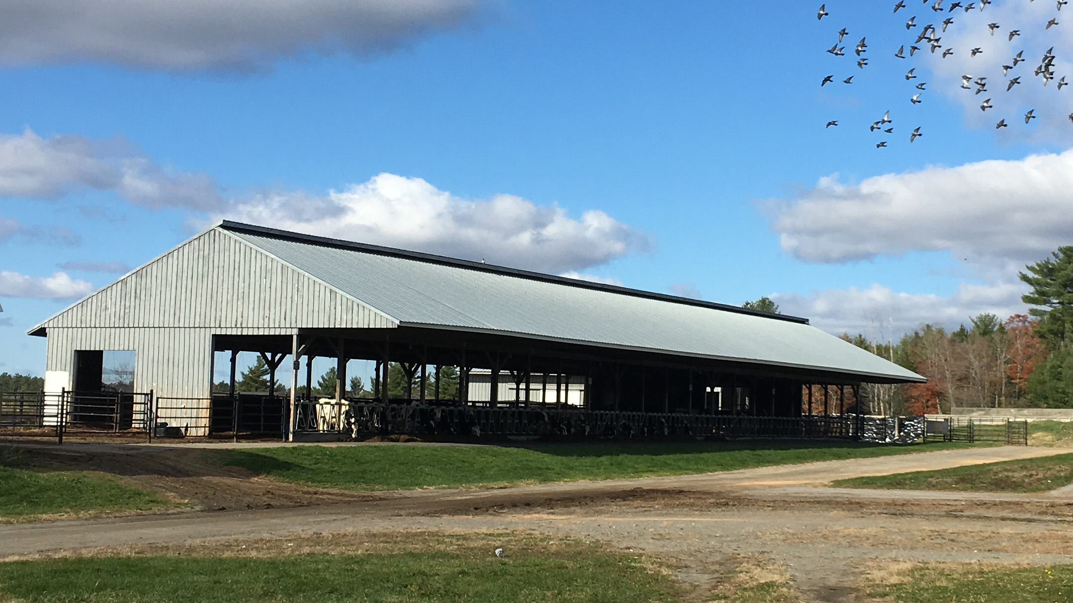 witter center dairy barn