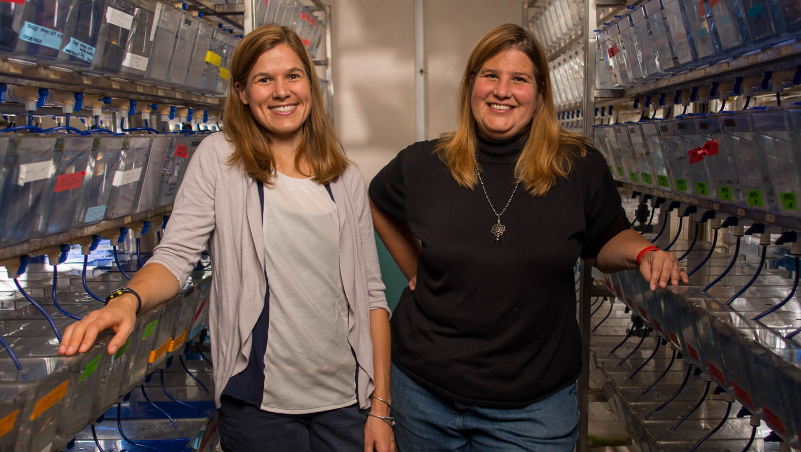 faculty student research lab molecular and biomedical sciences