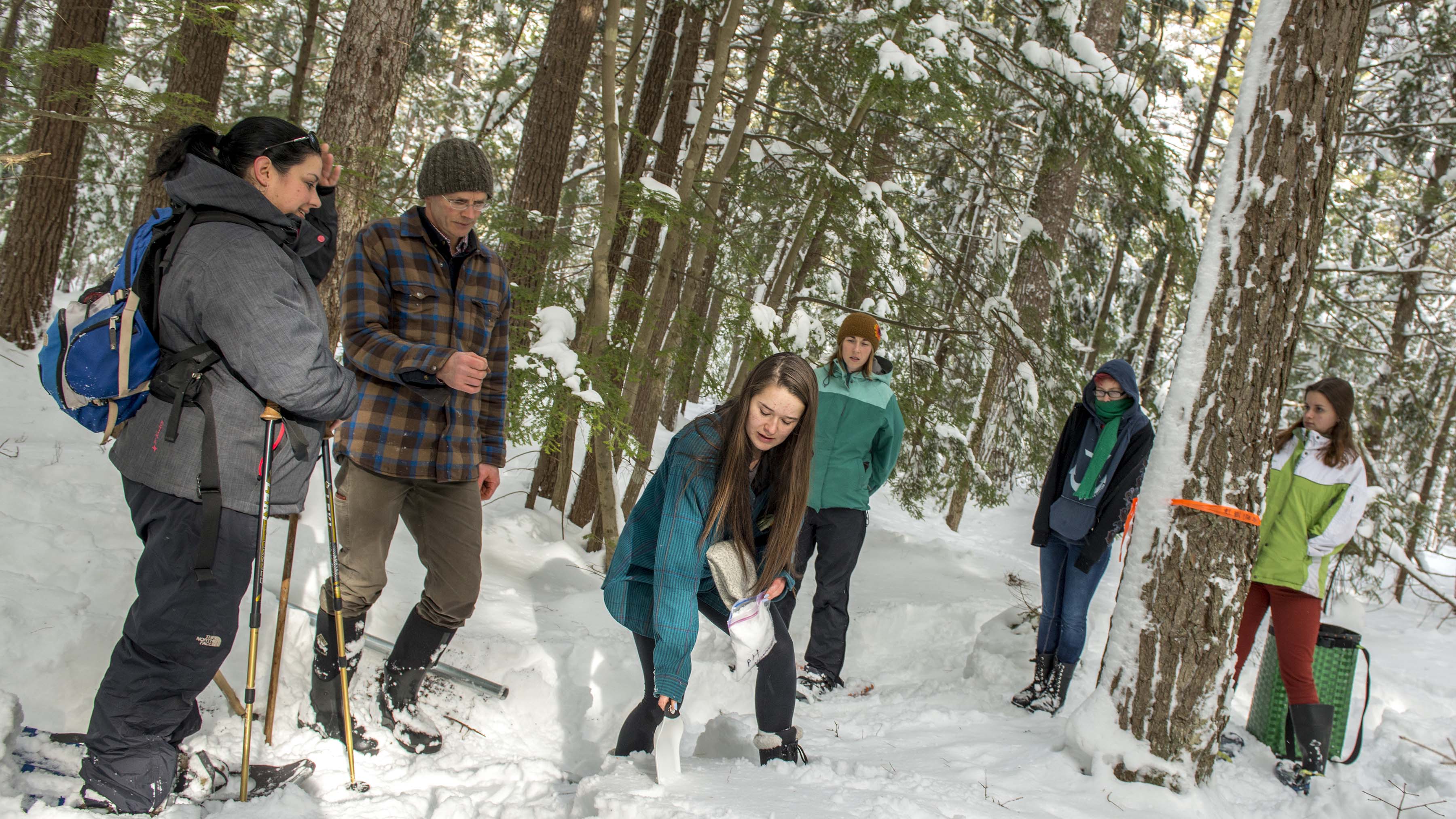 old town high school students forest snow winter header sarah nelson - web header