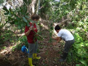 elise Goplerud travel scholarship sfr plant trees