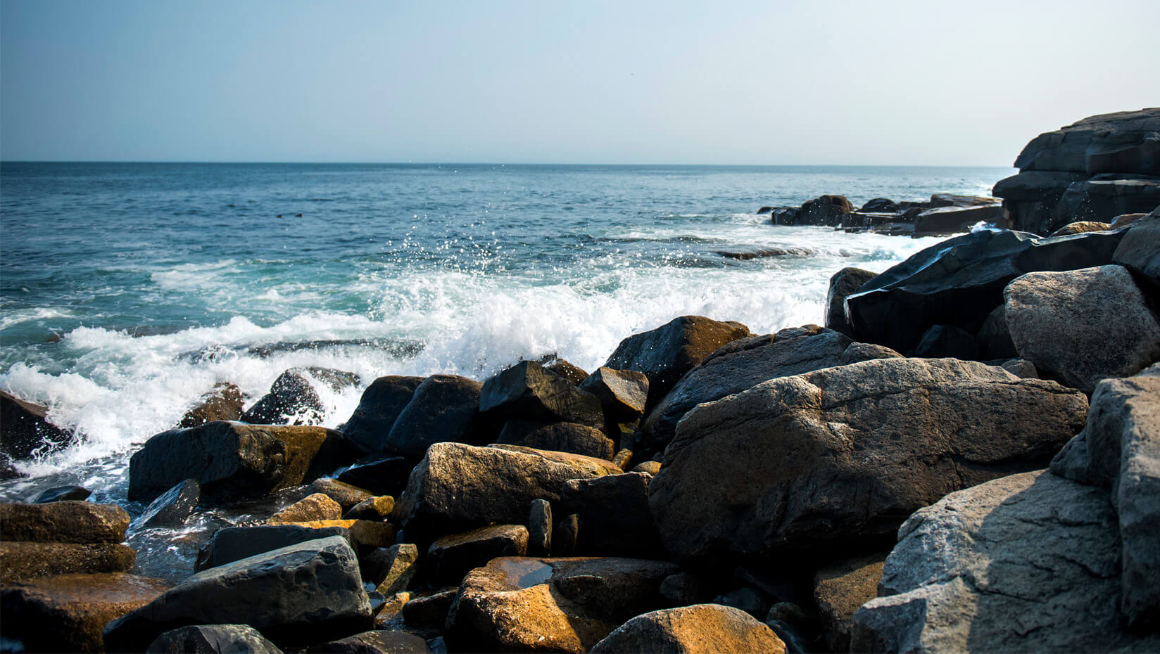 ocean coast wave