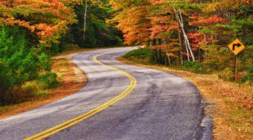 umaine forest autumn road