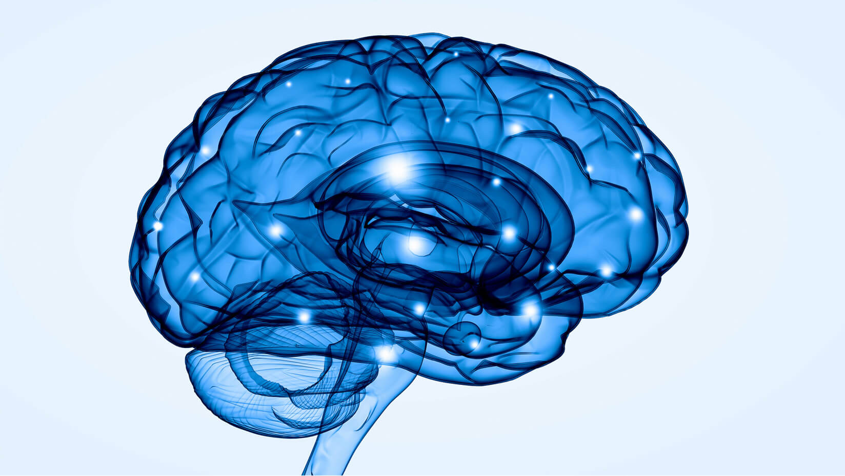 umaine brain health research