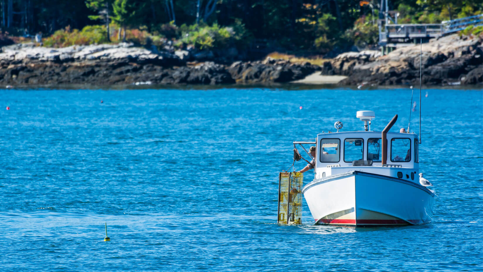 umaine lobster boat fishing ocean