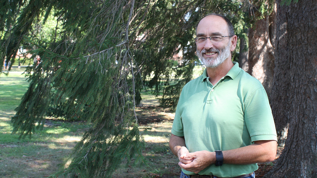 portrait of mark hutton