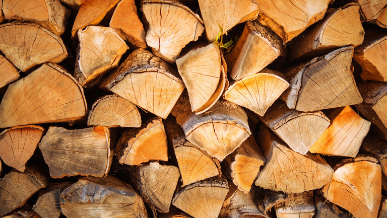 stack of firewood