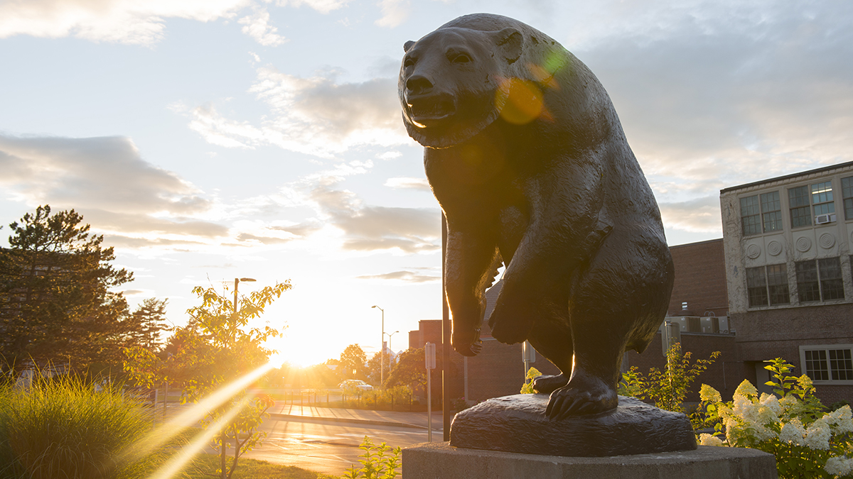 Statue of bear sculpture