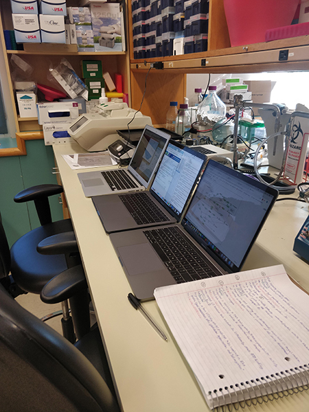 Photo of laptops in a laboratory
