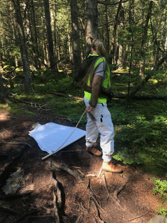 Shayla Miller working in the forest