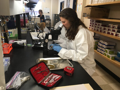 Female student in a white coat preparing samples and looking through a microscope.