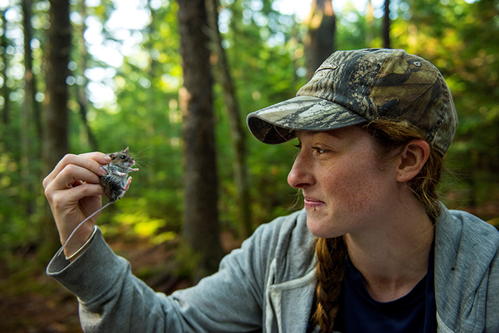 Allison Brehm holding a mouse captured for a research project in a forest.