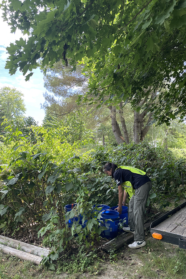 The author appears to be moving four blue plastic buckets into a plant bed with brush and a maple tree. She is wearing a neon vest.