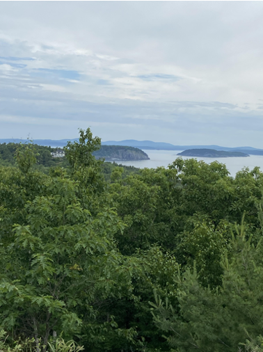 A scenic photo with trees in the foreground and ocean speckled by islands in the background under a cloudy sky.