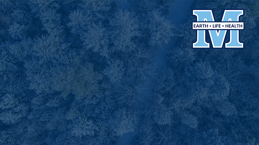 Zoom background featuring an aerial photo of a snow-covered forest with a transparent blue overlay and the UMaine M logo with the words earth life health