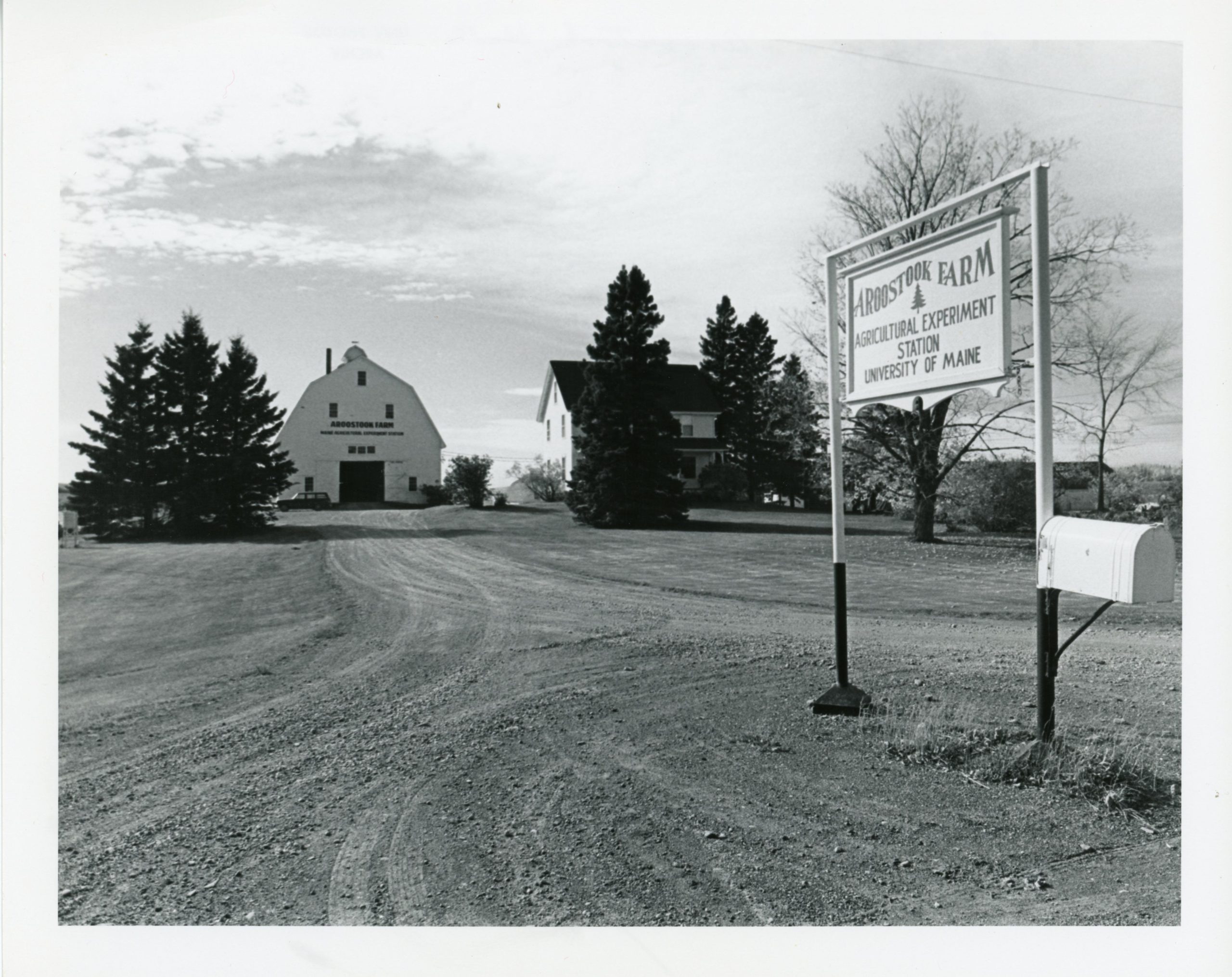black and white photo of Aroostook Farm entrance