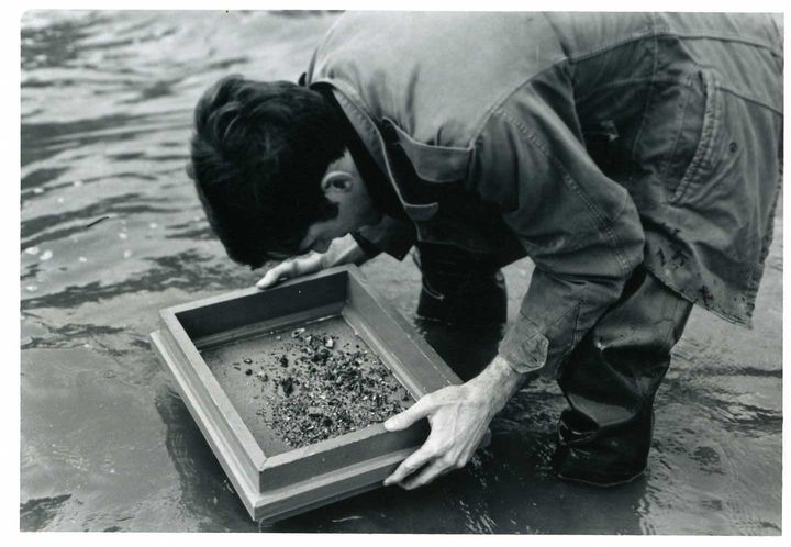 student looks at rocks and shells in sieve